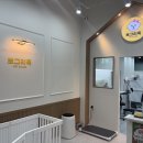 루원시티독 이미지