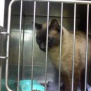 한얼동물병원 이미지