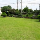 조수리엔 이미지