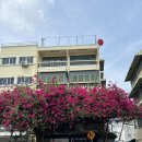 삼세 goods | 방콕 끈적국수 쿤댕 꾸어이짭 유안 / 부겐빌레아 포토존 / good goods at central world