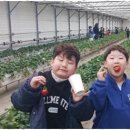 천마태권도장 이미지