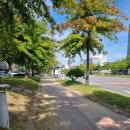 득량중학교 이미지