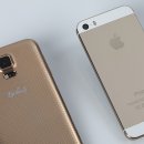 Gold Hands