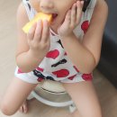 금봉농장 이미지