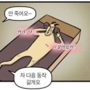 체형 교정과 코어 근력 향상은 [바디컨테이너 필라테스 두정점] 리포머 수업 후기 | 천안 필라테스 추천