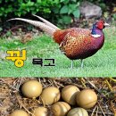 서화농장 이미지