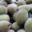 진흥농산 이미지