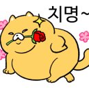 제일 칼국수 남천점 이미지