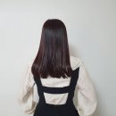 화곡미용실 디에이헤어 새치 염색맛집 강추