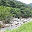 함양용추오토캠핑장 이미지