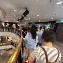 김*덕 - 미추홀구 주안로 163 | [홍콩] 침사추이 맛집 '덕빅토리아' 하버시티 베이징덕 솔직후기
