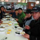 고스락김밥 Daum카페