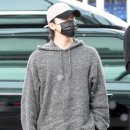 디노 이미지