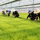 국제버스노동조합 이미지