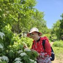 뚝섬한강공원-14 이미지