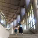 더클레프