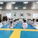 한국체대화랑태권도 이미지
