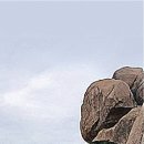 양산신-2021 Daum카페