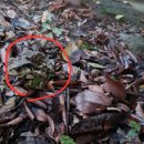 지월농장 이미지