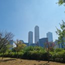 서림 행정사사무소 이미지