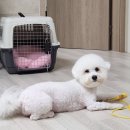 꾸미시개 네이버블로그