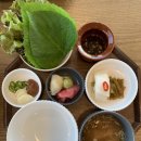 만장채소