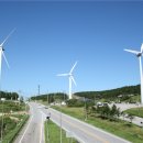 태권목장 이미지