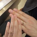 레미니스호텔 | 🤍W.09🤍💍 웨딩밴드｜ 결혼반지 원정대의 백화점 웨딩밴드 투어 1탄 (feat. 티파니앤코, 불가리, 샤넬...