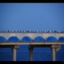 평해목장 이미지