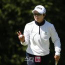 앨엔피코스메틱