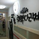 다락방고양이 이미지