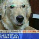 지금