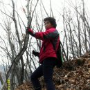 불당삼거리1 이미지