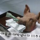 지인씨엔에스 이미지
