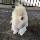 아스코 주식회사 이미지