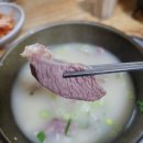 구일 가든 이미지