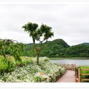 요산공원 이미지