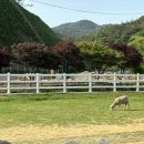 유서방 회 떠가시다