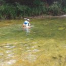 화악산 개울건너 이미지