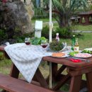 돔그라미 이미지