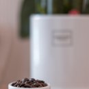 예가체프 이미지