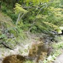 안기천로 이미지