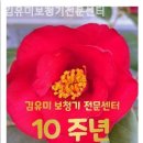 김유미보청기전문센터