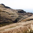 팡팡당구장 이미지