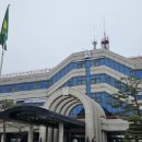 국화전시회 버스킹 문화공연 네이버블로그