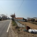 [안산]대부 해솔길 5코스 트레킹!!