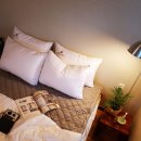 하천리-3 이미지