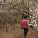 내서읍447 이미지