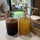 범어애견 | 양산 물금 맛집 브런치카페 페이머스베니 양산오슬로파크점 애견 동반