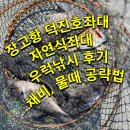 장고항좌대 덕진좌대 우럭낚시 후기 입장료 시설 채비 물때 공략법
